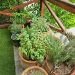 Balassi -with Terrace&bike شقة