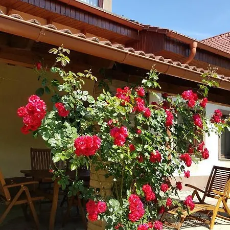 Balassi -with Terrace&bike * Štúrovo