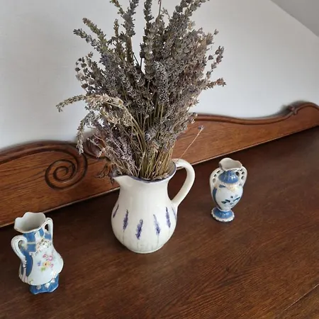 Balassi -with Terrace&bike 公寓 Štúrovo