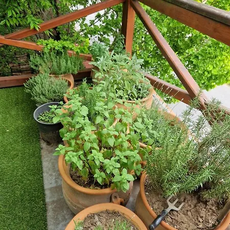 Balassi -with Terrace&bike 公寓