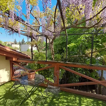 Balassi -with Terrace&bike Apartament *