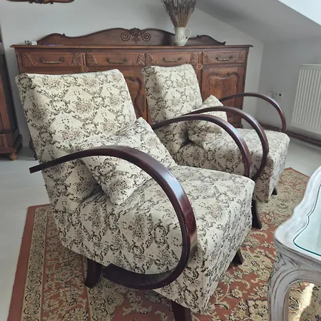 Balassi -with Terrace&bike *