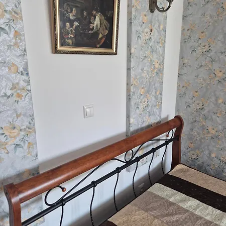 Balassi -with Terrace&bike 公寓