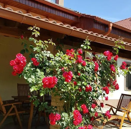 Balassi -with Terrace&bike * Štúrovo