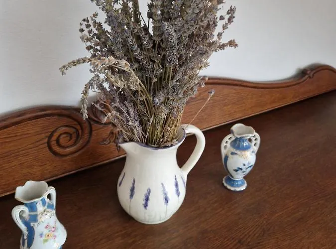 Balassi -with Terrace&bike Apartment Štúrovo